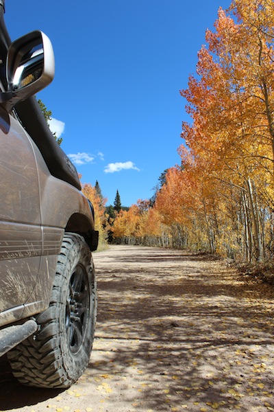 Driving Georgia Pass